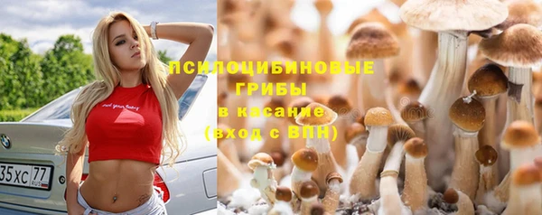прущий лед Лагань