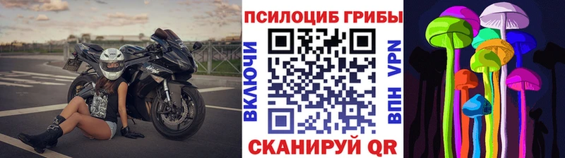 Псилоцибиновые грибы GOLDEN TEACHER  Наволоки 